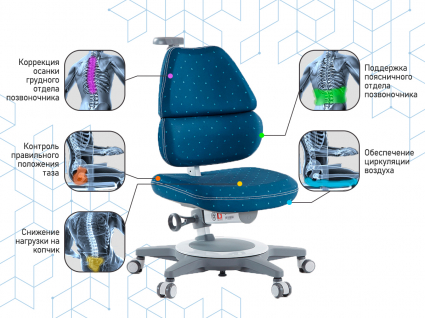 02. Поддержка спины